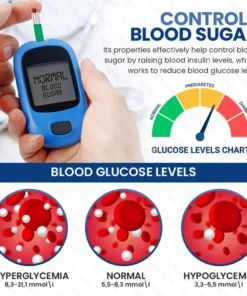 FLYCARE™ Blood Sugar Control Patch