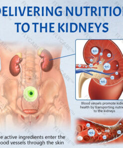 FLYCARE™ NephroFlex Kidney Boost Patch