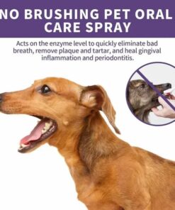 Hudros™ Teeth Cleaning Spray for Dogs & Cats