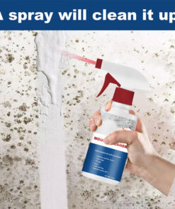 Mildew Cleaner Foam