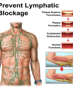 SlimPulse™ 𝗨𝗹𝘁𝗿𝗮𝘀𝗼𝗻𝗶𝗰 𝗙𝗮𝘁 𝗕𝗹𝗮𝘀𝘁𝗶𝗻𝗴 𝗮𝗻𝗱 𝗗𝗲𝘁𝗼𝘅𝗶𝗻𝗴 𝗪𝗿𝗶𝘀𝘁𝗯𝗮𝗻𝗱