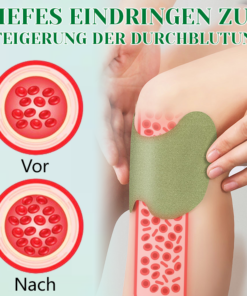 Ceoerty™ Wermut-Knie-Schmerzpflaster