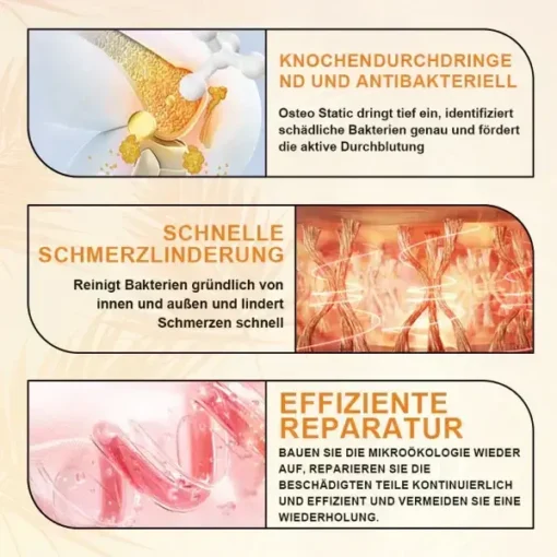 AEXZR™ Bienengift-Schmerzlinderungs Knochenheilungs Creme