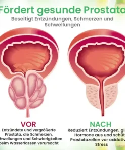 AEXZR™ Detox Prostata-Pflaster – Geheimnis jugendlicher Haut