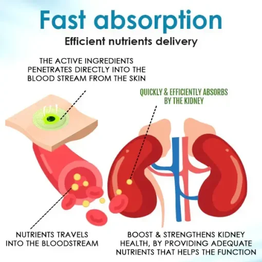 AEXZR™ Kidney Boost Patch