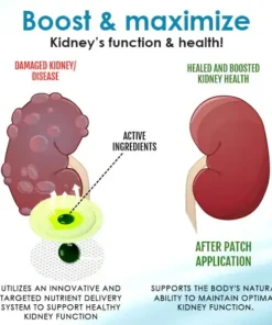 AEXZR™ Kidney Boost Patch