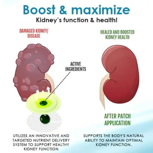 AEXZR™ Kidney Boost Patch