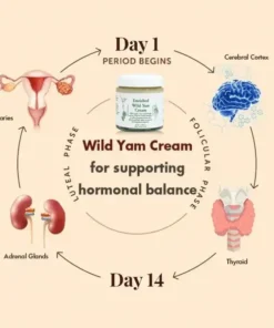 Organic Wild Yam Cream