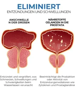 Oveallgo™ BeeBoom Profi Naseninhalator für die Prostatagesundheit