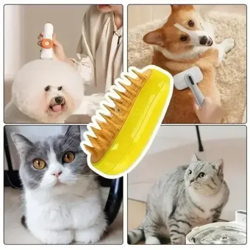 3 in 1 Electric Cat Steam Brush